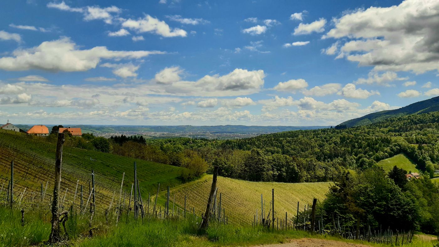 Meranovo under Maribor Pohorje